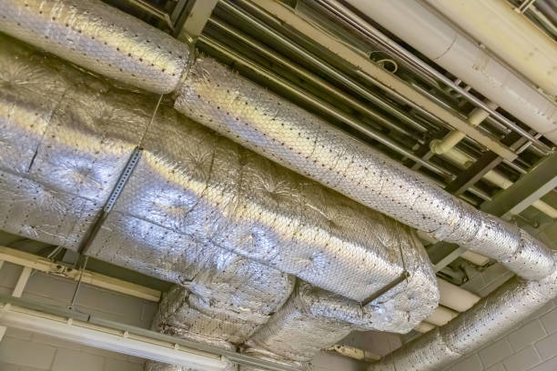 Best Affordable HVAC Duct Cleaning  in Belding, MI